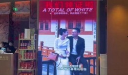 万丰刘老板大饭店爆料视频,揭秘餐饮行业不为人知的秘密